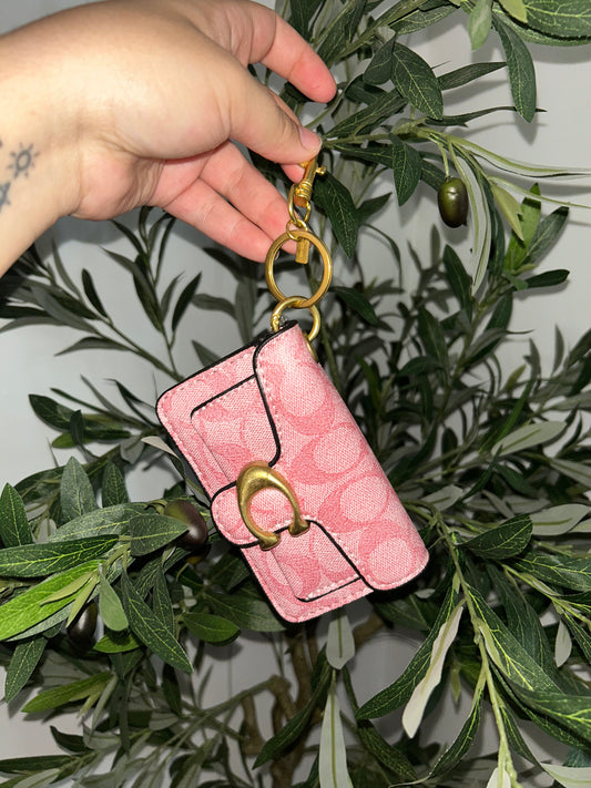 Coach keychain and Bag