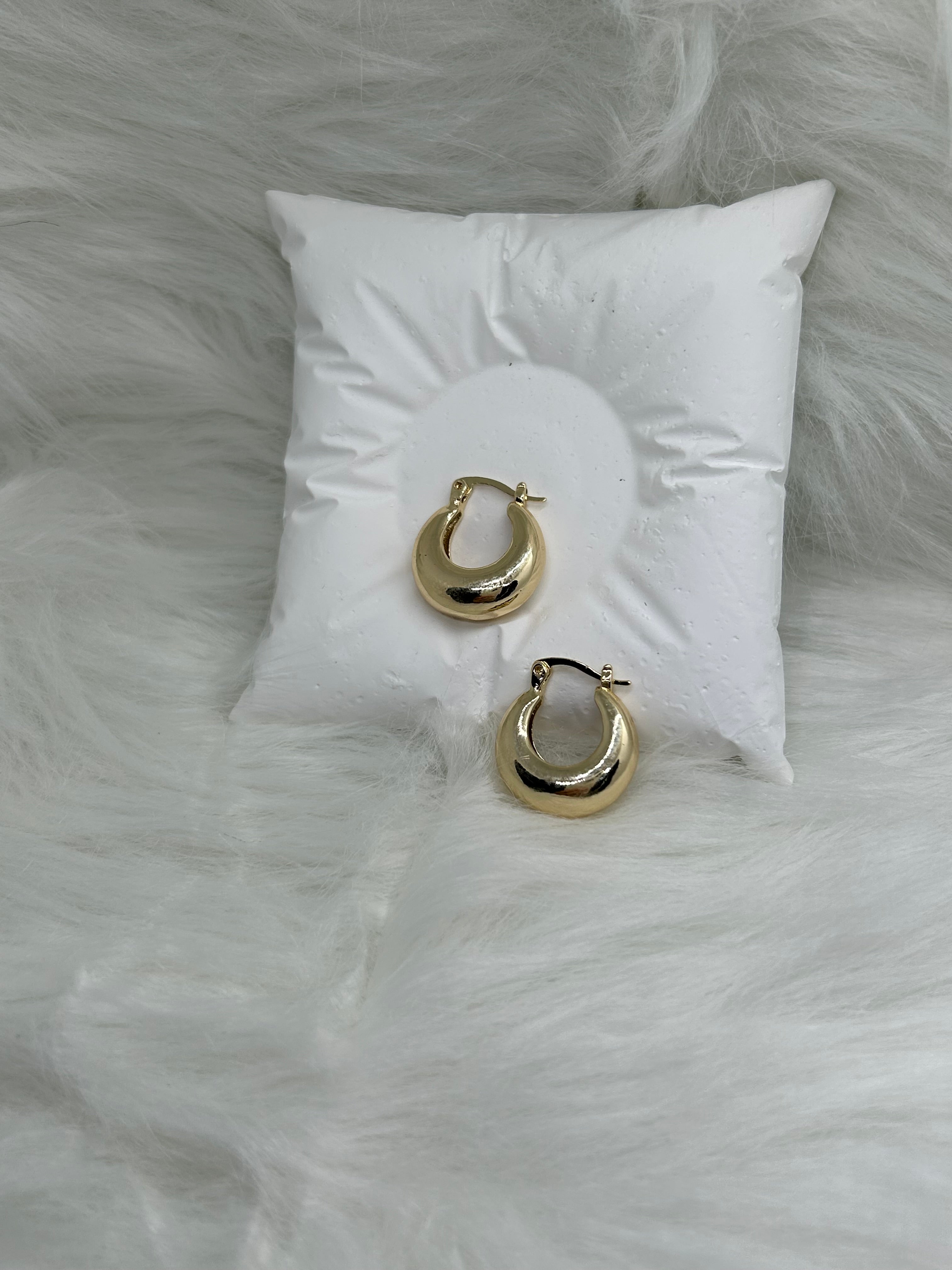Echo Loops Earings