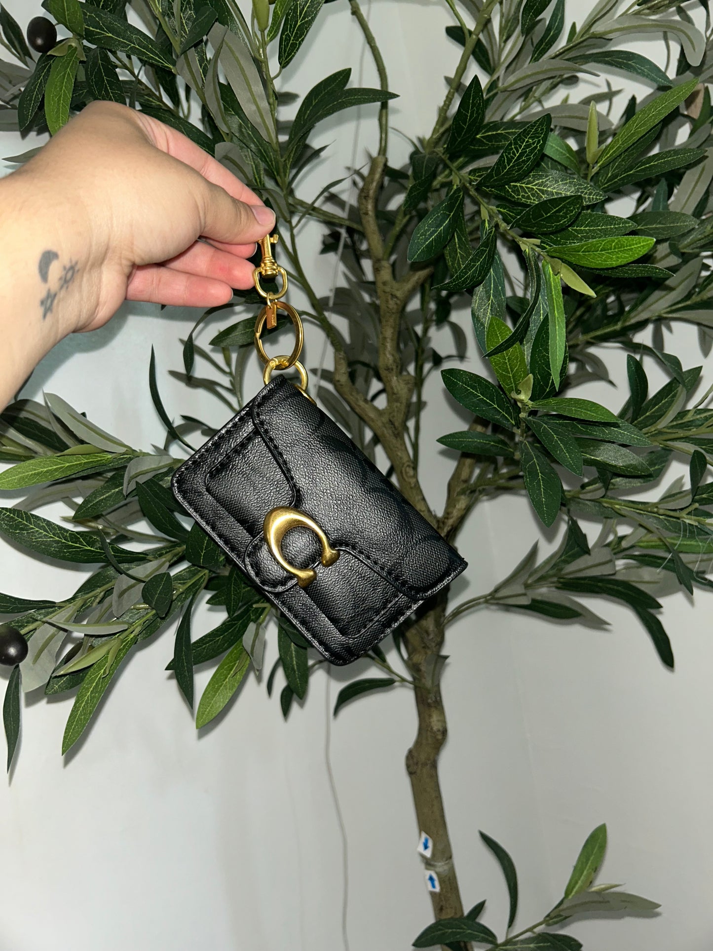 Coach keychain and Bag