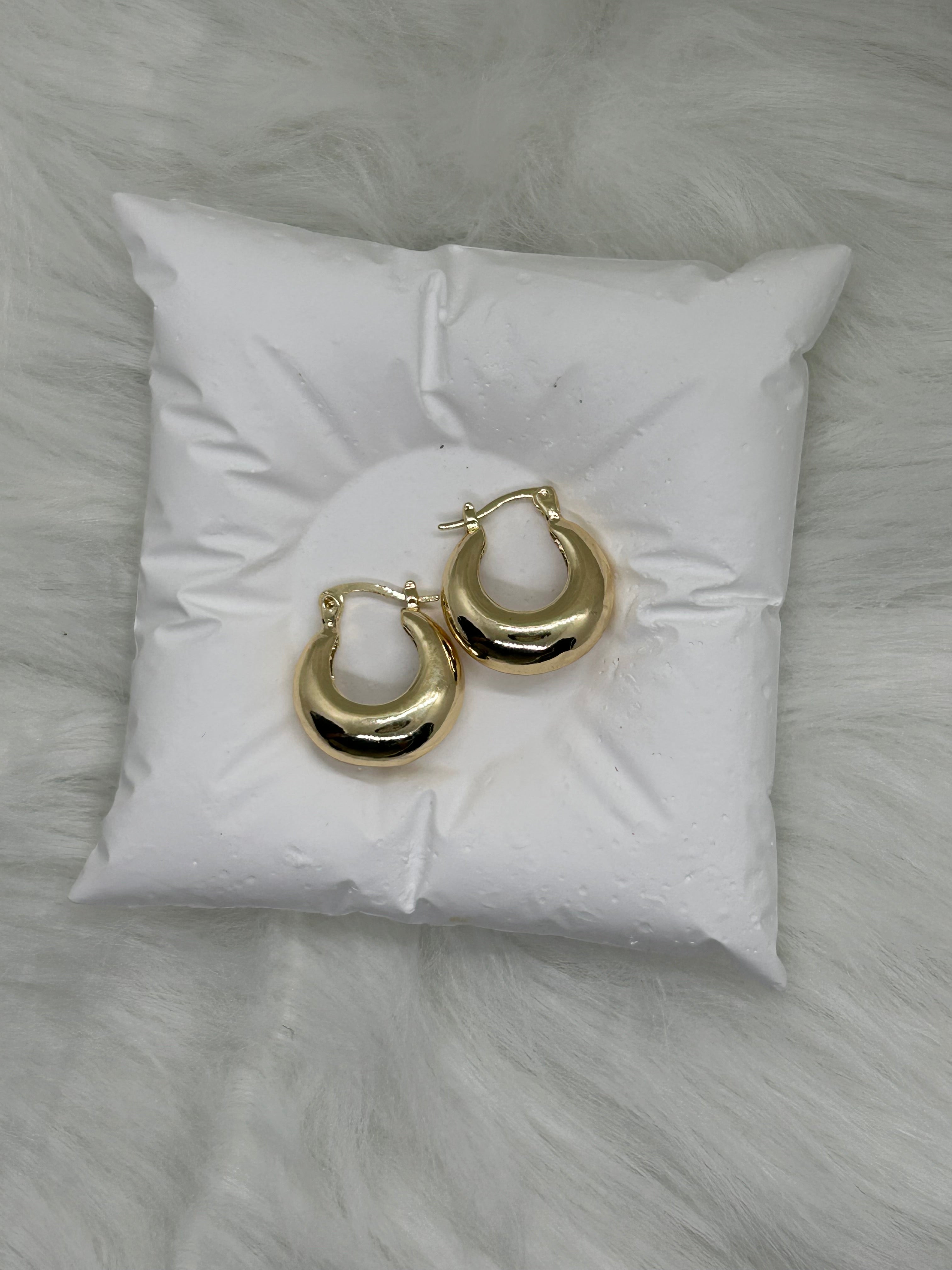Echo Loops Earings