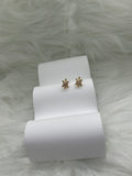 Little summer Turtle Earrings