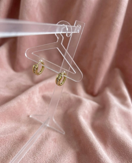 Bug Earings